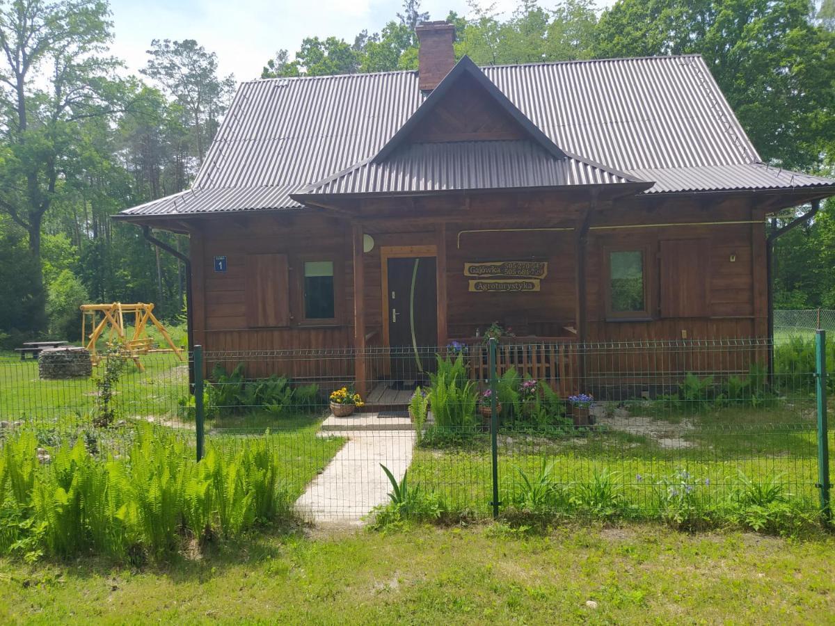 Villa Gajowka Zlobek Zlobek  Exterior foto